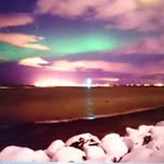 Carol Storer - @carol.storer - Instagram