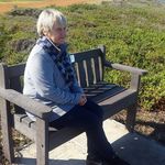 Carol Strachan - @2687carol - Instagram