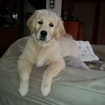 Carol Strahle - Facebook