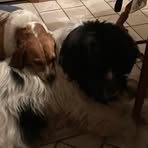 Carol Straight - Facebook