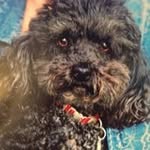 Carol Strain - @cstrain47 - Instagram
