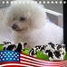 Carol Strait - Facebook