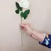 Carole STRANGE - @carolstrange2 - TikTok