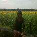 Carol Straub - Facebook