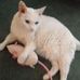 Carole Straub - Facebook