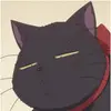 carolinestraub727 - @carolinestraub727 - TikTok