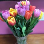 Carol Strauch - @carolstrauch5315 - Instagram