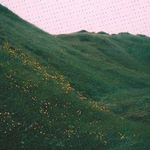 Carol Strauch - @caro3l_strauch - Instagram