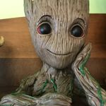 Carol Strauch - @strauch.carol - Instagram