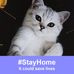 Carol Straus - Facebook