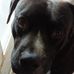 Strausser Carol - Facebook