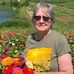 Carol Straw - Facebook