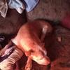Carol Streeter - @carol.streeter - TikTok
