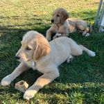 Carol Streeter - @carol_marie99 - Instagram