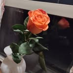 Carol Stretch - Facebook