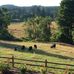 Carol Stringer - Facebook