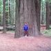 Carol Strobel - Facebook