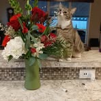 Carol Strode - Facebook