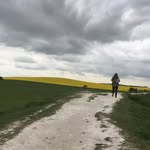 Carol Strohecker - @strohecker_carol - Instagram
