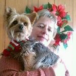 Carol Strohecker - @castrohecker - Instagram
