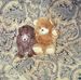 Carol Strother - Facebook