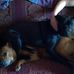 Carol Strother - Facebook