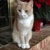 Carol Lee Stroupe - Facebook