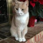 Carol Lee Stroupe - @clstroupej - Instagram