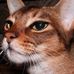 Carol Strutt - Facebook