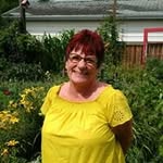 Carol Stuart - @carol.stuart.779 - Instagram
