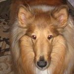 Carol Stuart - @carol.stuart.712 - Instagram