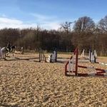 Carol Stuart - @carolstuart64 - Instagram