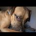 Carol Stubblefield - Facebook