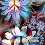 Carol Stucky - @carolstucky - Instagram