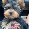 carolannstuck - @carolannstuck - TikTok