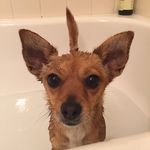 Carol Stuckey - @ambstuck - Instagram
