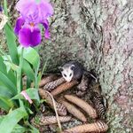 Carol Stuckey - @stuckeycarol - Instagram