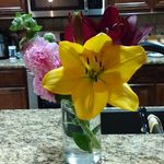 Carol Uhles Stuckey - @stuckey4038 - Instagram