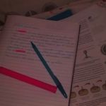 Caroline Maia Dias - @study_com_carol - Instagram
