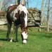 Carol Stull - Facebook