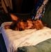 Carol Stumbo - Facebook
