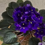 Carol Stumbo Porter - @carol_a_wayne - Instagram