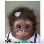Carol Stump - @carolstump123 - Instagram