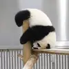 carolsturch679 - @carolsturch679 - TikTok