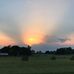 Carol Sturm - Facebook