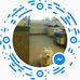 Carol Sturman - Facebook