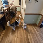 Carol Stursberg - @stursbergcaro - Instagram