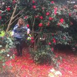 Carol Styles - @carol.styles.796 - Instagram