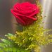 Carol Suazo  - Facebook
