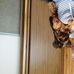 Carol Suchy - Facebook